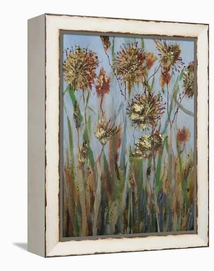 Seeds 3-Margaret Coxall-Framed Premier Image Canvas