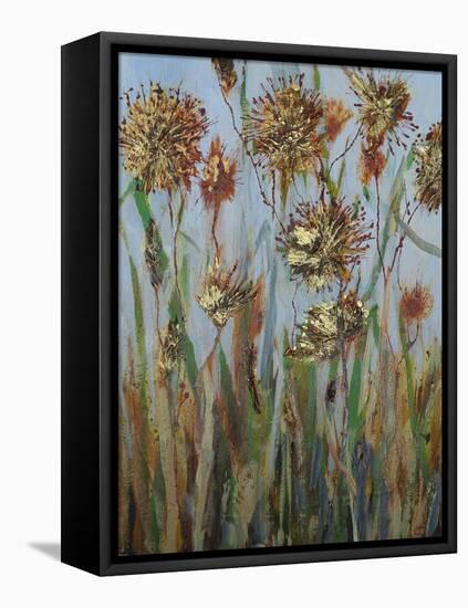 Seeds 3-Margaret Coxall-Framed Premier Image Canvas