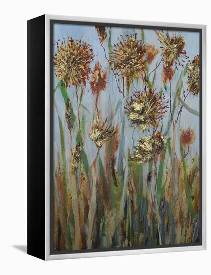 Seeds 3-Margaret Coxall-Framed Premier Image Canvas