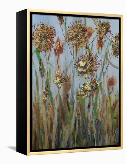 Seeds 3-Margaret Coxall-Framed Premier Image Canvas