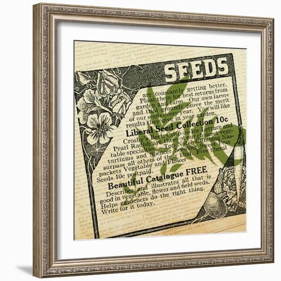 Seeds 4-null-Framed Giclee Print