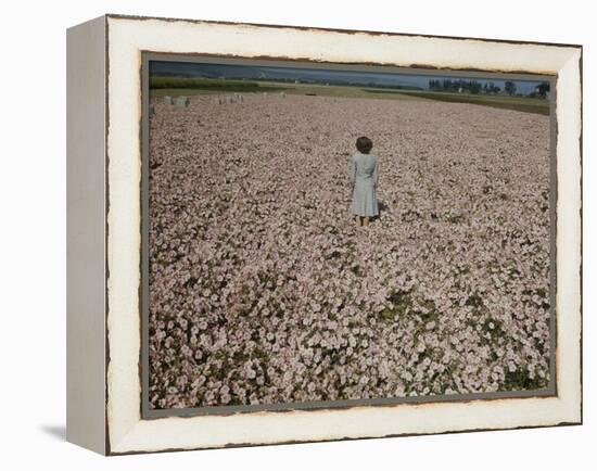 Seeds and Flowers-George Strock-Framed Premier Image Canvas