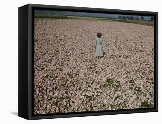 Seeds and Flowers-George Strock-Framed Premier Image Canvas