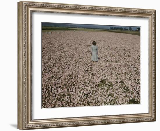 Seeds and Flowers-George Strock-Framed Photographic Print