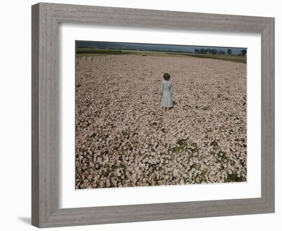 Seeds and Flowers-George Strock-Framed Photographic Print