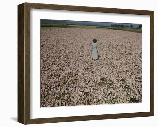 Seeds and Flowers-George Strock-Framed Photographic Print