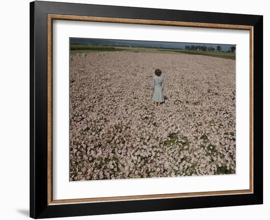 Seeds and Flowers-George Strock-Framed Photographic Print