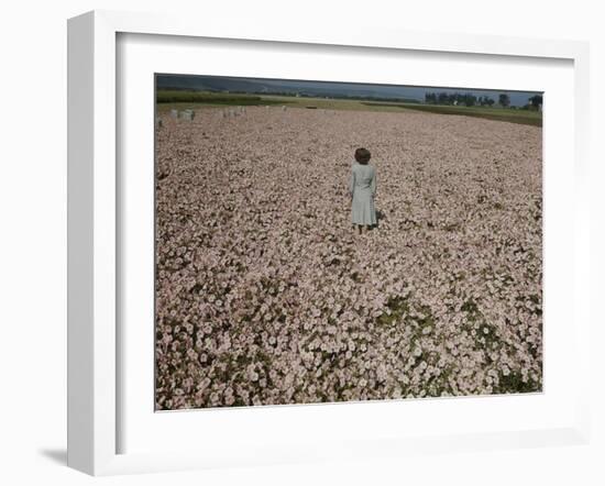 Seeds and Flowers-George Strock-Framed Photographic Print