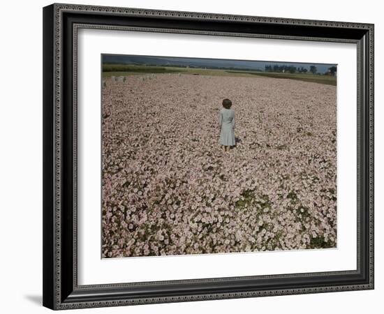 Seeds and Flowers-George Strock-Framed Photographic Print