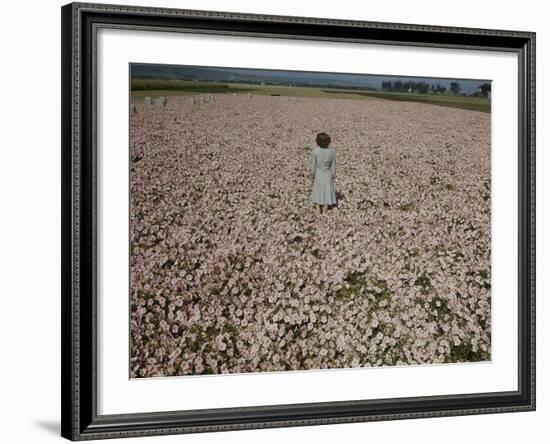 Seeds and Flowers-George Strock-Framed Photographic Print