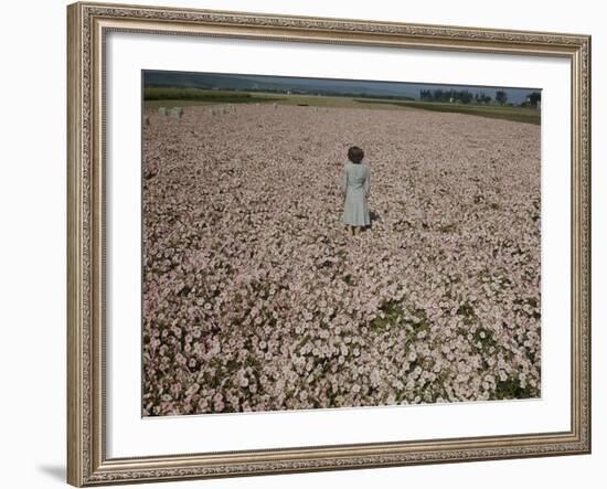 Seeds and Flowers-George Strock-Framed Photographic Print