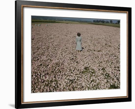 Seeds and Flowers-George Strock-Framed Photographic Print