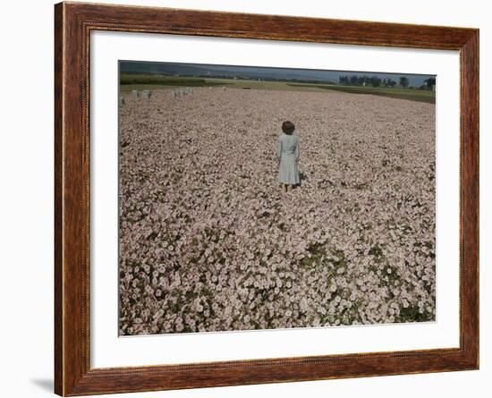 Seeds and Flowers-George Strock-Framed Photographic Print