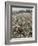 Seeds and Flowers-George Strock-Framed Photographic Print