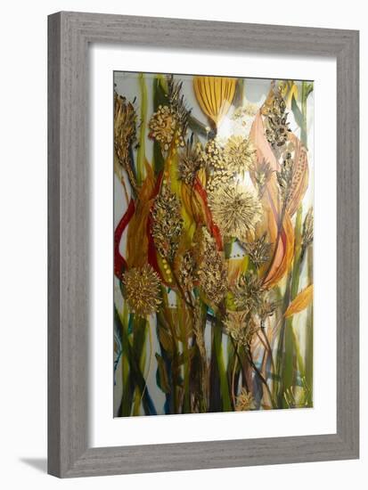 Seeds and weeds-Margaret Coxall-Framed Giclee Print