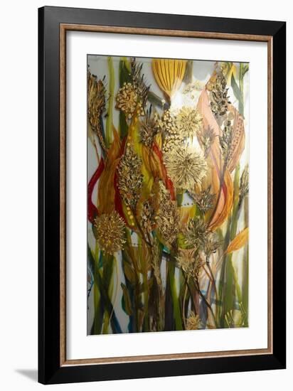 Seeds and weeds-Margaret Coxall-Framed Giclee Print