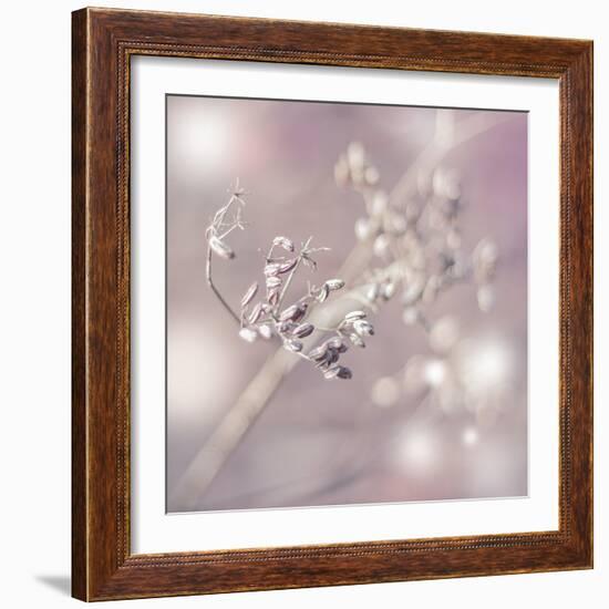 Seeds Of Life-Viviane Fedieu Daniel-Framed Photographic Print