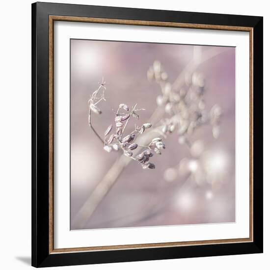 Seeds Of Life-Viviane Fedieu Daniel-Framed Photographic Print