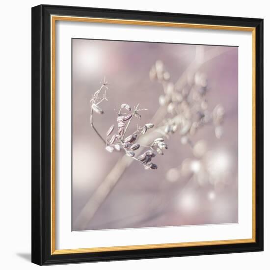 Seeds Of Life-Viviane Fedieu Daniel-Framed Photographic Print