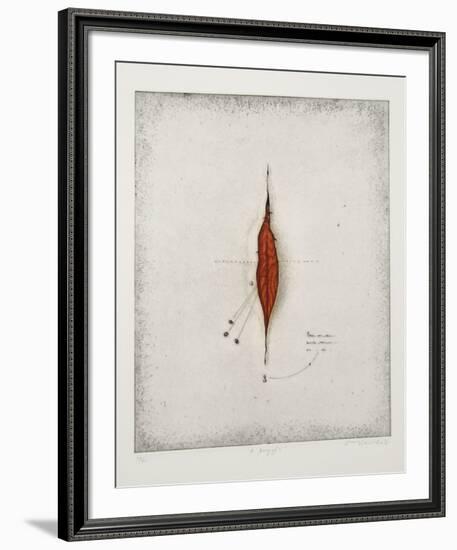 Seeds-Tighe O'Donoghue-Framed Limited Edition