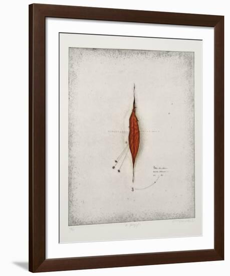 Seeds-Tighe O'Donoghue-Framed Limited Edition