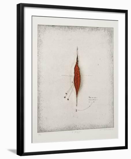 Seeds-Tighe O'Donoghue-Framed Limited Edition