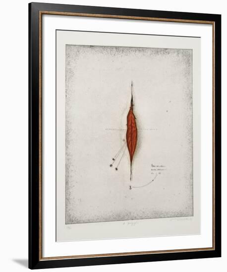 Seeds-Tighe O'Donoghue-Framed Limited Edition