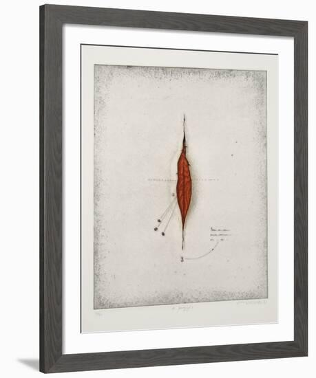 Seeds-Tighe O'Donoghue-Framed Limited Edition