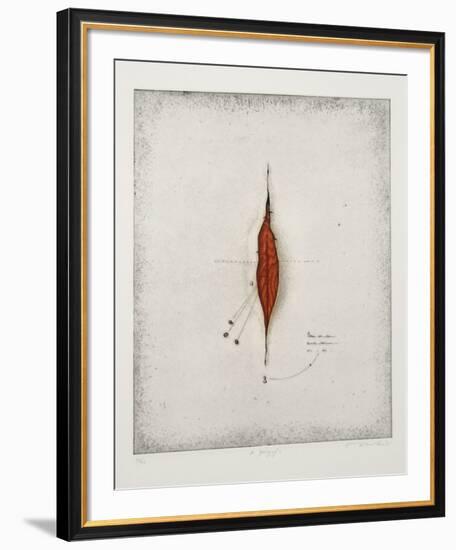 Seeds-Tighe O'Donoghue-Framed Limited Edition