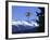 Seefeld, Austria-null-Framed Photographic Print