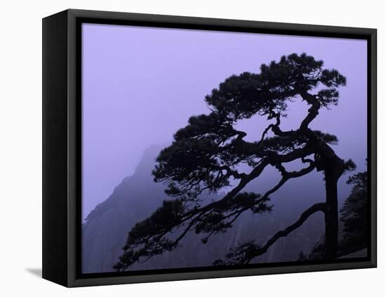 Seeing Off Pine Tree on Mt. Huangshan (Yellow Mountain), China-Keren Su-Framed Premier Image Canvas