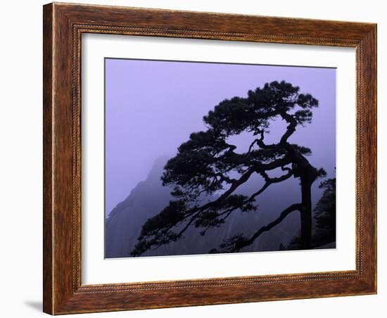 Seeing Off Pine Tree on Mt. Huangshan (Yellow Mountain), China-Keren Su-Framed Photographic Print