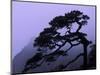 Seeing Off Pine Tree on Mt. Huangshan (Yellow Mountain), China-Keren Su-Mounted Photographic Print