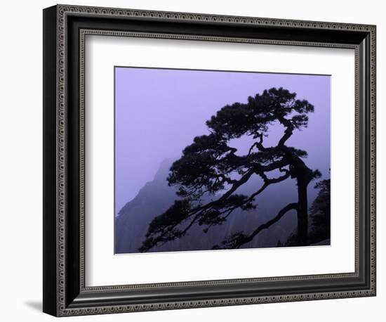 Seeing Off Pine Tree on Mt. Huangshan (Yellow Mountain), China-Keren Su-Framed Photographic Print