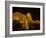 Seeing The Sites, Danube River, Budapest, Hungary-Joe Restuccia III-Framed Photographic Print