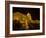 Seeing The Sites, Danube River, Budapest, Hungary-Joe Restuccia III-Framed Photographic Print