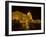 Seeing The Sites, Danube River, Budapest, Hungary-Joe Restuccia III-Framed Photographic Print