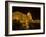 Seeing The Sites, Danube River, Budapest, Hungary-Joe Restuccia III-Framed Photographic Print