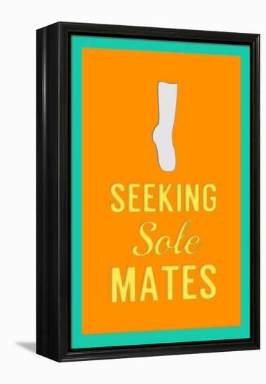 Seeking Sole Mates-Sd Graphics Studio-Framed Stretched Canvas