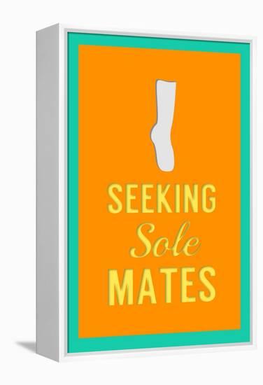 Seeking Sole Mates-Sd Graphics Studio-Framed Stretched Canvas