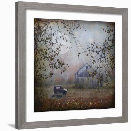 Seen Better Days-Dawne Polis-Framed Art Print