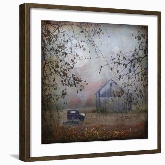 Seen Better Days-Dawne Polis-Framed Art Print