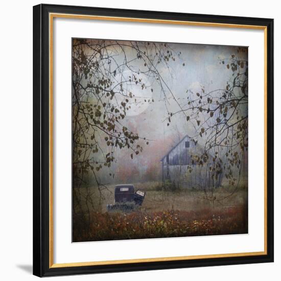 Seen Better Days-Dawne Polis-Framed Art Print