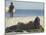 Seen from Her Back, Young Woman Lying on Beach Wearing Bikini Viewing Ocean-Co Rentmeester-Mounted Photographic Print