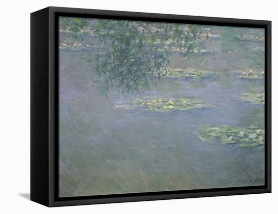 Seerosen, 1903-Claude Monet-Framed Premier Image Canvas