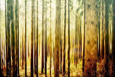 Abstract Forest in Motion Blur, Abstract Colorful Background-seewhatmitchsee-Photographic Print