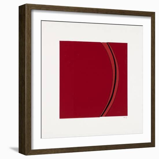 Segment-Alex Dunn-Framed Giclee Print