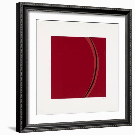 Segment-Alex Dunn-Framed Giclee Print