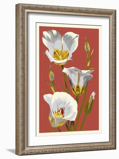 Sego Lily - Letterpress-Lantern Press-Framed Art Print