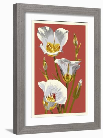 Sego Lily - Letterpress-Lantern Press-Framed Art Print